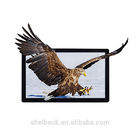 Full HD 1080P Glasses Free 3d Display , High Resolution 48 Inch Glassless 3d Monitor